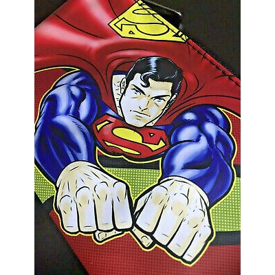 Superman Superhero Pencil Case