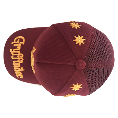 Harry Potter Gryffindor Hat
