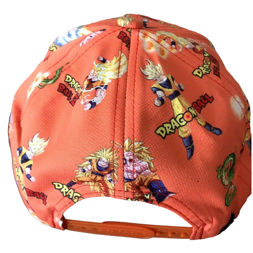 Dragon Ball Z Hat Goku Vegeta